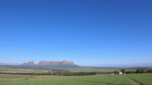 Nexium耐信為何成為治療幽門螺旋菌感染的優選藥物