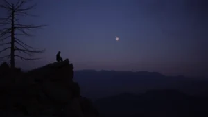 Sildenafil-Hippigra-100mg香港男士健康生活的新選擇