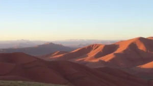 Tadafly香港男士如何利用Tadalafil重拾活力與自信