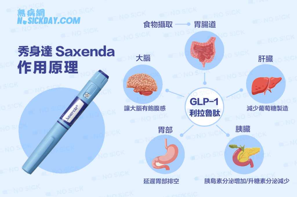 Nosickday無病網-秀身達1